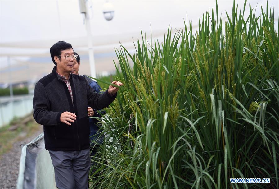 Ministry of Agriculture and Rural Affairs of the People's Republic of China